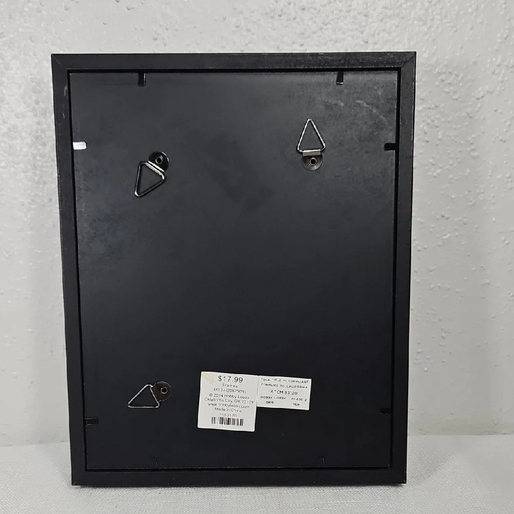 NWT Hobby Lobby Green Tree Gallery Black Velvet Back Shadow Box 8x10